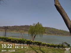 -羊山湖公园