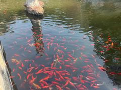 -红螺寺