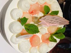 -毛辣果·酸(OHA复兴西路店)