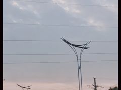 -莫子山公园