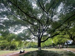 -浙江大学(玉泉校区)