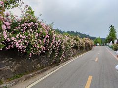 -太阳湾风景区