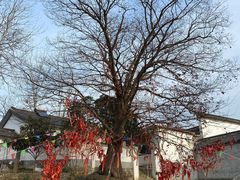 -石塘人家
