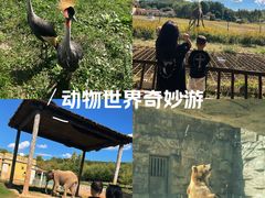 -哈尔滨北方森林动物园