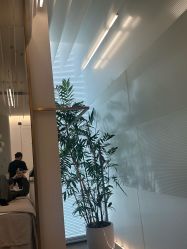 -HYOUNG 禾漾·BTL官方美学中心
