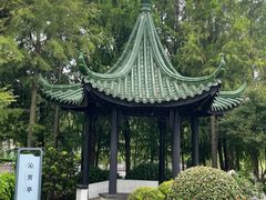 -江滩湿地公园