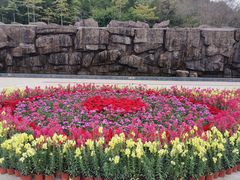 -神光山国家森林公园