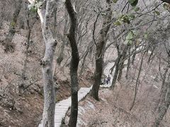 -终南山南五台景区