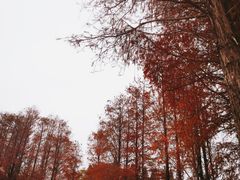 -四海公园(南山区)