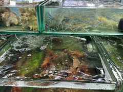 -班赞海鲜市场