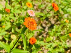 -漩门湾国家湿地公园