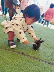 -萌宠亲子动物乐园(槐房万达店)