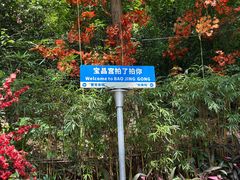 -宝晶宫旅游景区