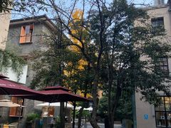 -徐家汇源景区-衡山坊
