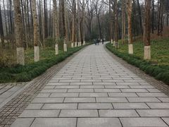 -杭州植物园