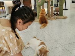 -喵园·猫主题咖啡厅·撸猫·猫咖(国贸店)