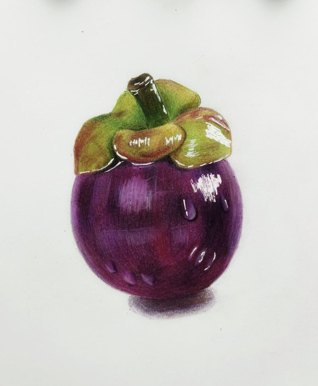 初学者必看彩铅画山竹超简单教程!