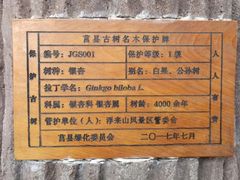 -浮来山风景区