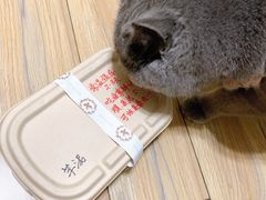 -你好独角兽·蛋糕甜品