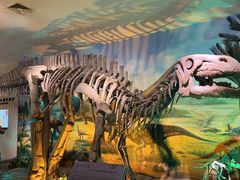 -甘肃地质博物馆