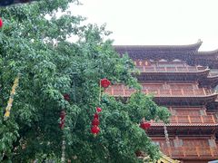-大佛寺高级素食自助餐厅