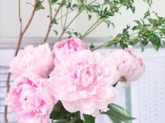 -双季花艺园艺市场(浦东店)
