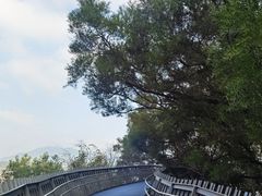 -福道