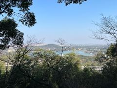 -上海佘山国家森林公园西佘山园