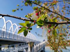 -大兴滨河森林公园