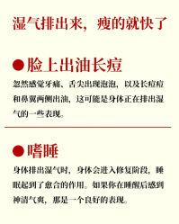 -Fundi张玉珊修身堂·indiba·BTL科技瘦身