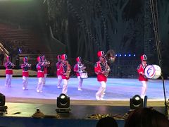 -灵玲国际马戏城