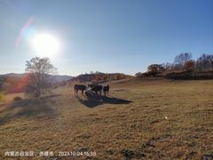 -乌兰布统草原