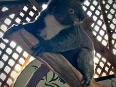 -费瑟代尔野生动物园