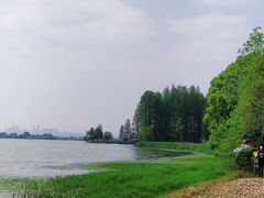 -东湖落雁景区