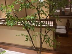 -揽季锅物会.福建黄鱼.海鲜姿造(五四路店)