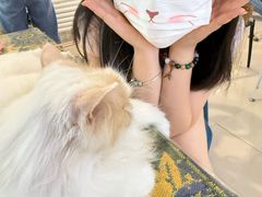 -平行世界·猫咖(首经贸店)