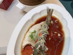 清蒸鲈鱼-鸭匠食府·挂炉烤鸭·新京菜(阜成路店)