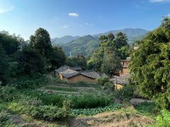 -杨家堂村