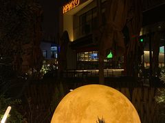 -纽扣NEWKO