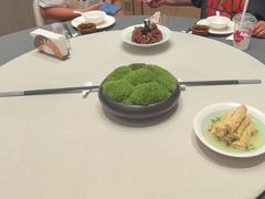 -新吉士·上海菜(浦东LCM置汇旭辉店)