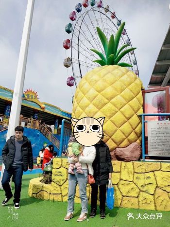 还是夏天打卡过的洋湖湿地公园