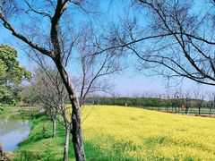 -嘉北郊野公园