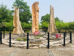 -金钉子远古世界景区