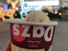-哈根达斯(城西银泰店)