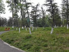 -白鹭湾湿地公园