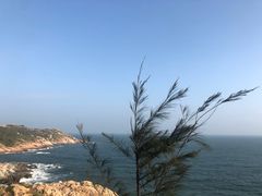 -广东惠东海龟国家级自然保护区
