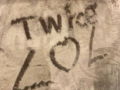 -line friends(明洞旗舰店)