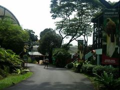-新加坡飞禽公园