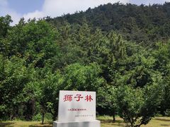 -金龙寺国家森林公园