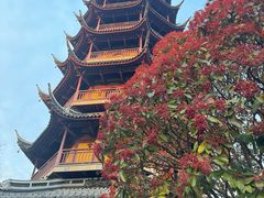 -红梅公园